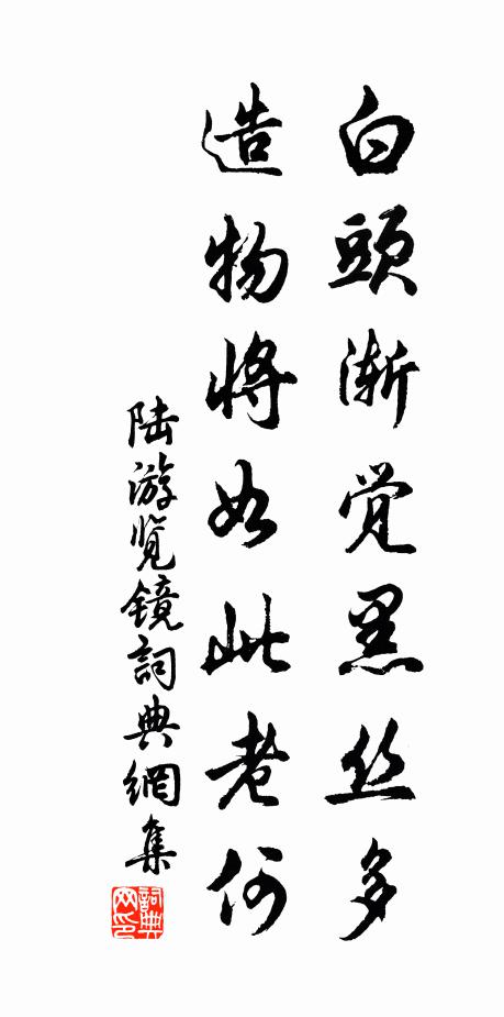 陆游白头渐觉黑丝多，造物将如此老何书法作品欣赏