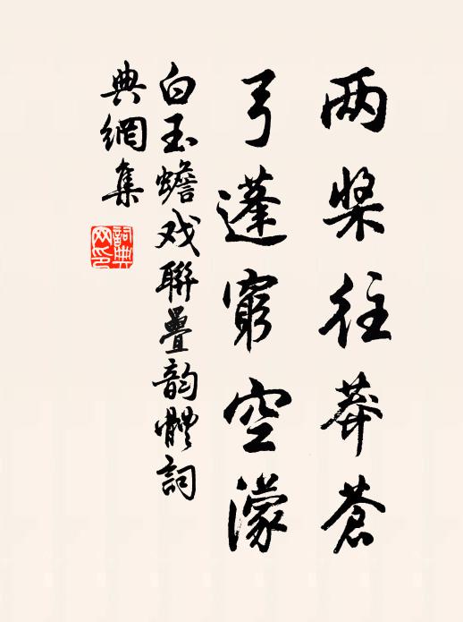 白玉蟾两桨往莽苍，弓蓬穷空濛书法作品欣赏