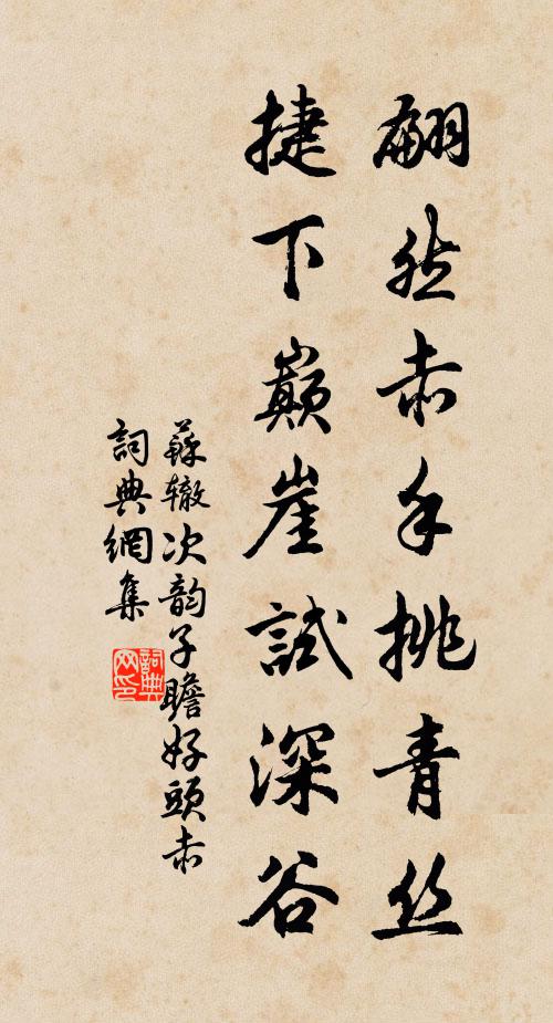 苏辙翩然赤手挑青丝，捷下巅崖试深谷书法作品欣赏