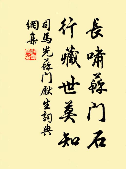 司马光长啸苏门石，行藏世莫知书法作品欣赏
