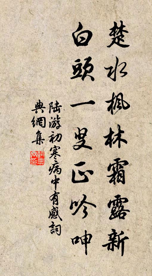 陆游楚水枫林霜露新，白头一叟正吟呻书法作品欣赏