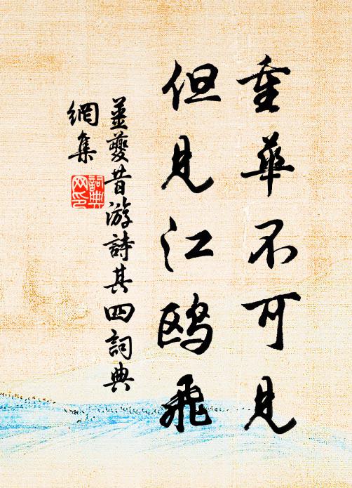 姜夔重华不可见，但见江鸥飞书法作品欣赏