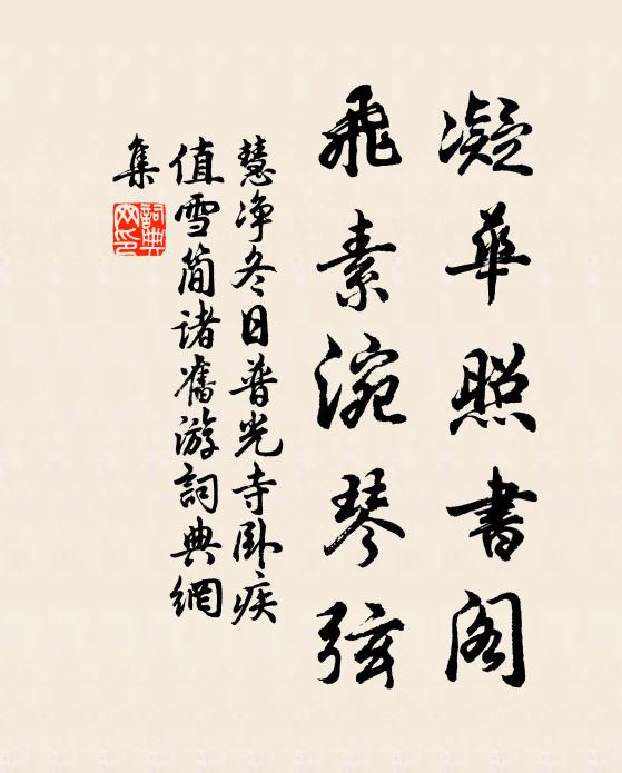 慧净凝华照书阁，飞素涴琴弦书法作品欣赏