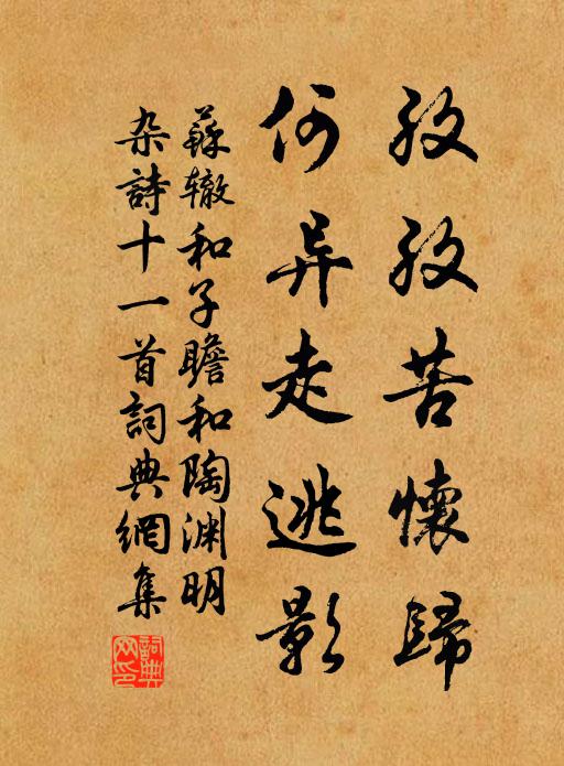 苏辙孜孜苦怀归，何异走逃影书法作品欣赏