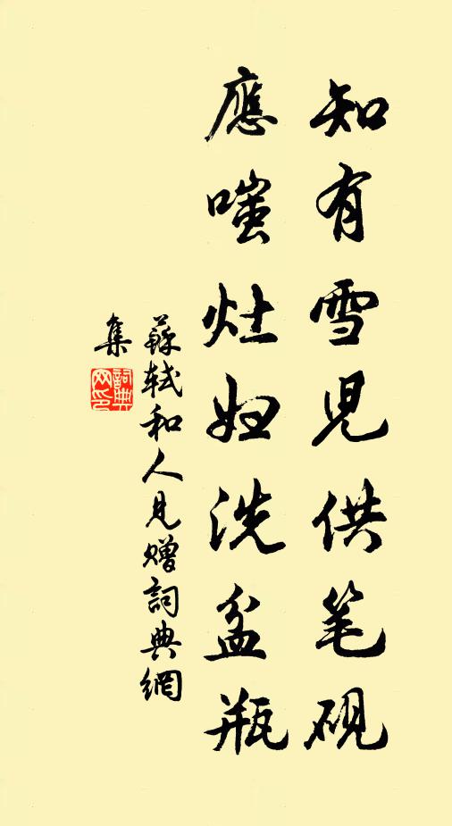 苏轼知有雪儿供笔砚，应嗤灶妇洗盆瓶书法作品欣赏