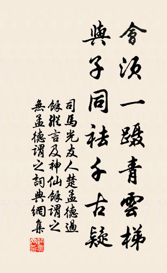 司马光会须一蹑青云梯，与子同祛千古疑书法作品欣赏