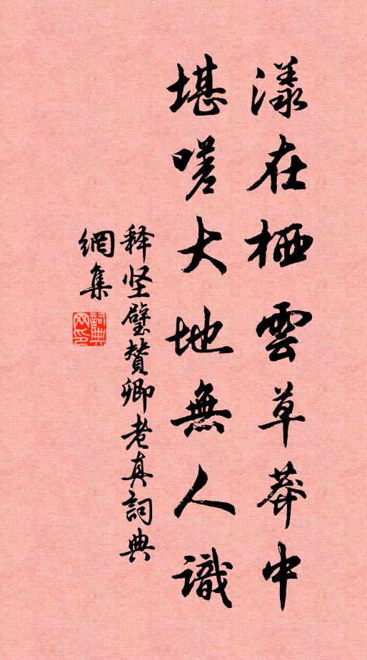 释坚璧漾在栖云草莽中，堪嗟大地无人识书法作品欣赏