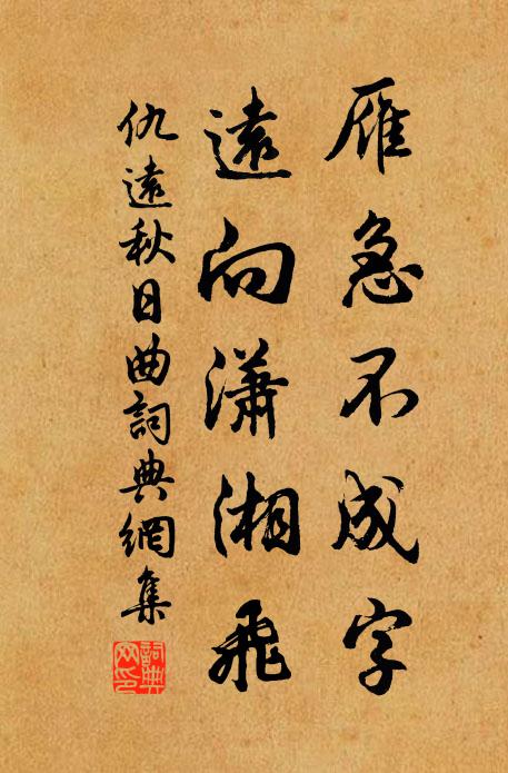 仇远雁急不成字，远向潇湘飞书法作品欣赏