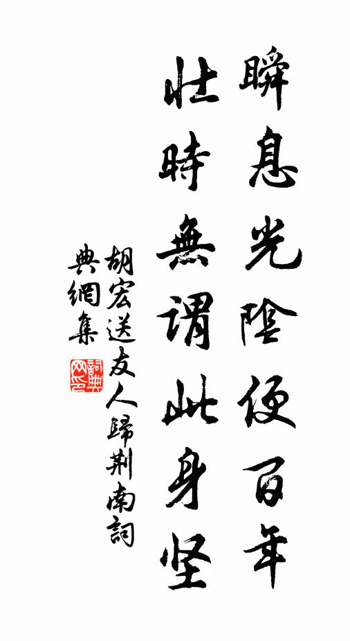 胡宏瞬息光阴便百年，壮时无谓此身坚书法作品欣赏