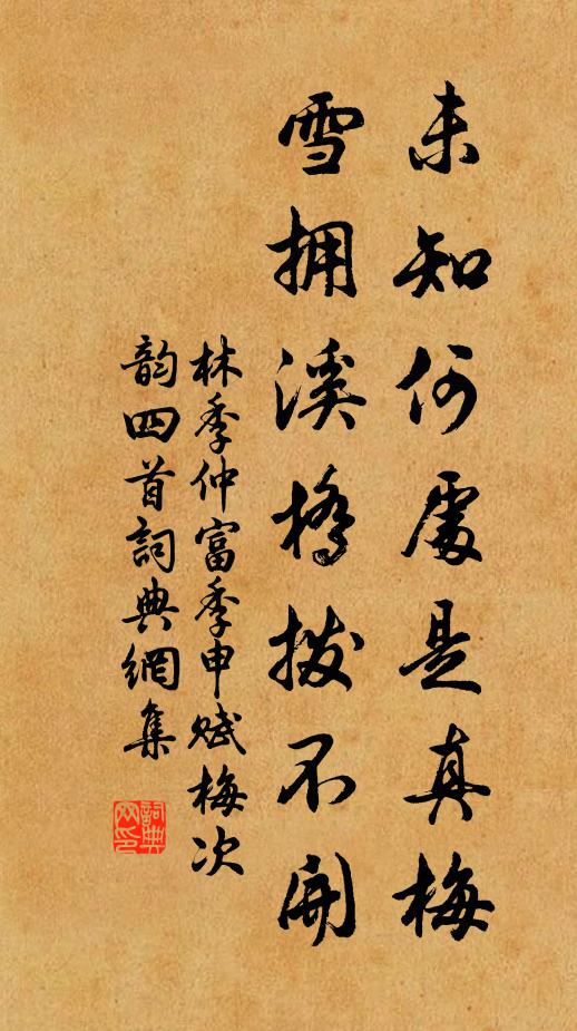 林季仲未知何处是真梅，雪拥溪桥拨不开书法作品欣赏