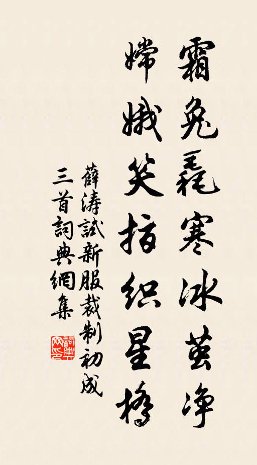 薛涛霜兔毳寒冰茧净，嫦娥笑指织星桥书法作品欣赏