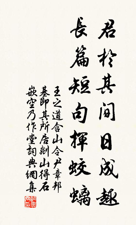 王之道君于其间日成趣，长篇短句挥蛟螭书法作品欣赏