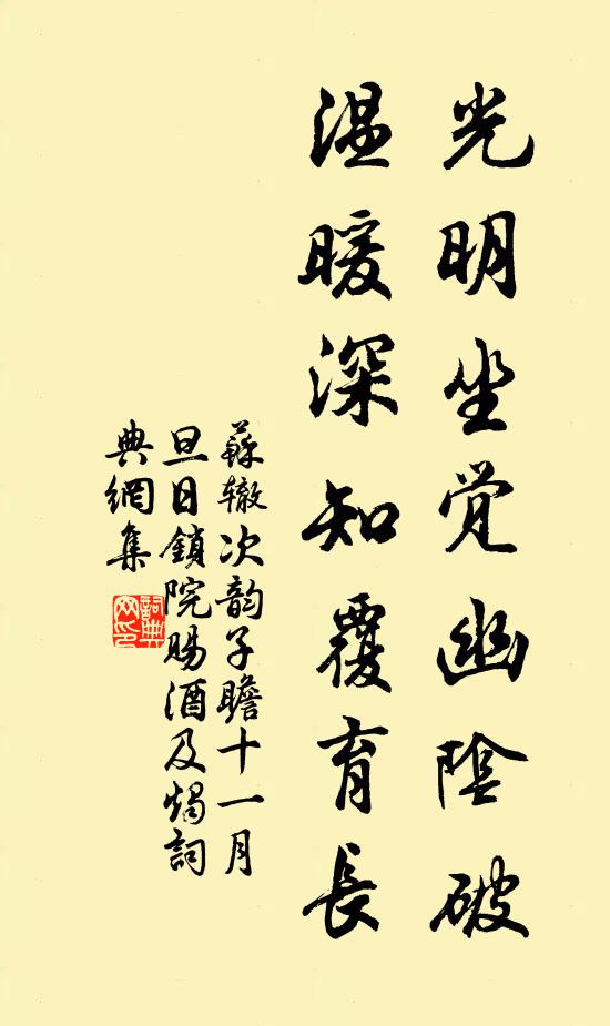 苏辙光明坐觉幽阴破，温暖深知覆育长书法作品欣赏