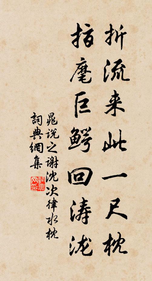 晁说之折流来此一尺枕，指麾巨鳄回涛泷书法作品欣赏
