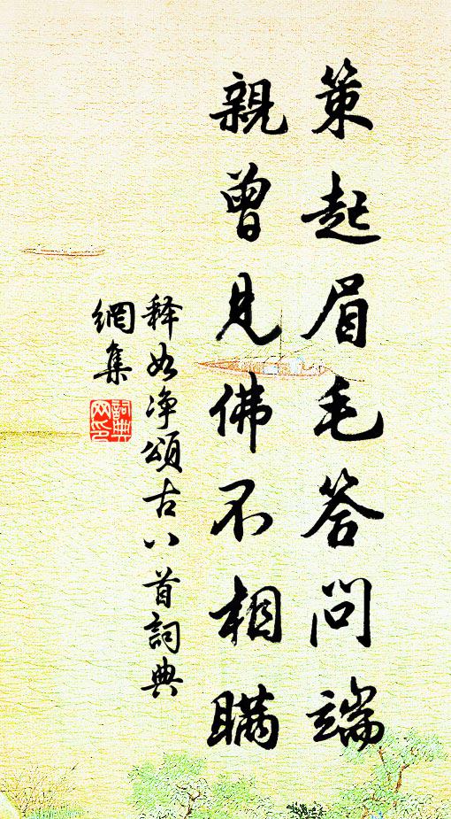 释如净策起眉毛答问端，亲曾见佛不相瞒书法作品欣赏