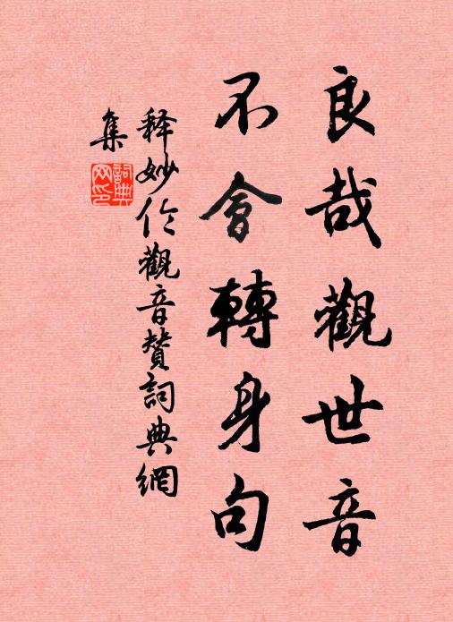 释妙伦良哉观世音,不会转身句书法作品欣赏