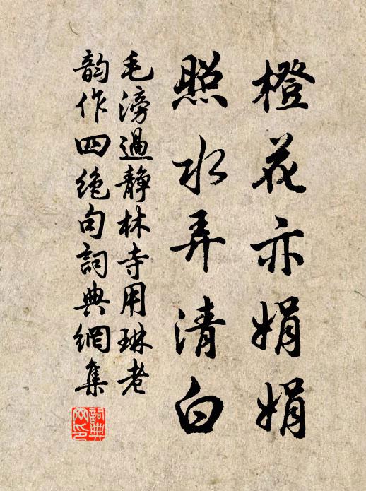 毛滂橙花亦娟娟，照水弄清白书法作品欣赏