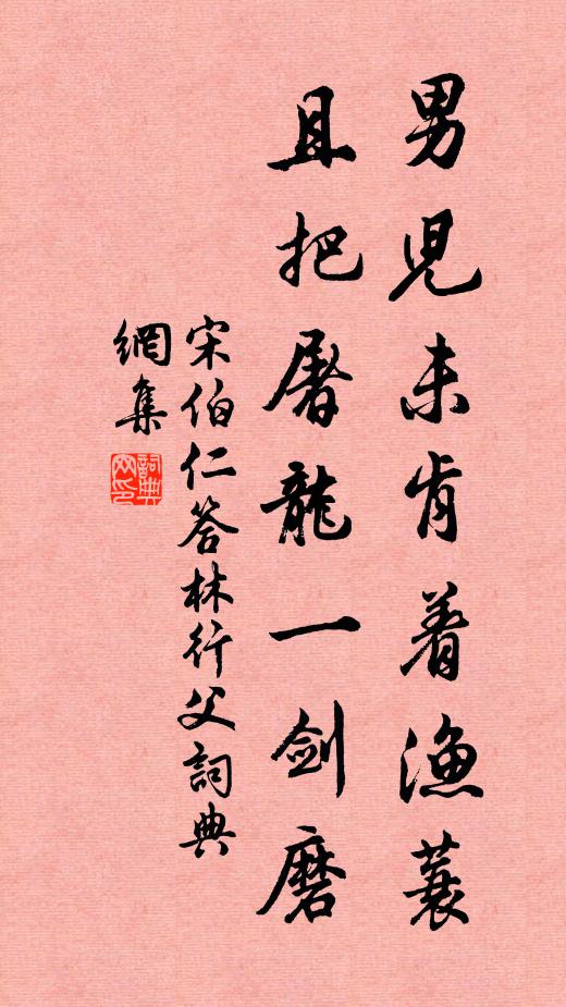 宋伯仁男儿未肯着渔蓑，且把屠龙一剑磨书法作品欣赏