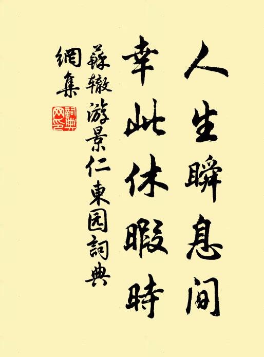 苏辙人生瞬息间，幸此休暇时书法作品欣赏