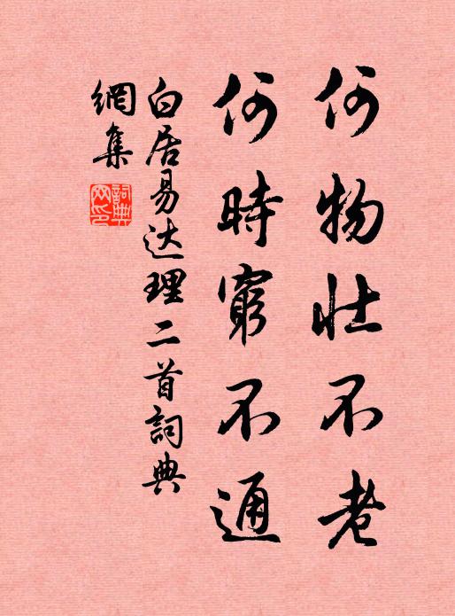 白居易何物壮不老，何时穷不通书法作品欣赏