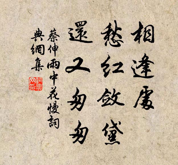 蔡伸相逢处，愁红敛黛，还又匆匆书法作品欣赏