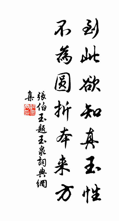 张伯玉到此欲知真玉性，不为圆折本来方书法作品欣赏