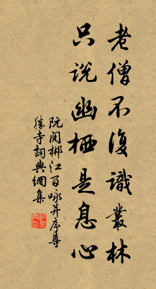 阮阅老僧不复识丛林，只说幽栖是息心书法作品欣赏
