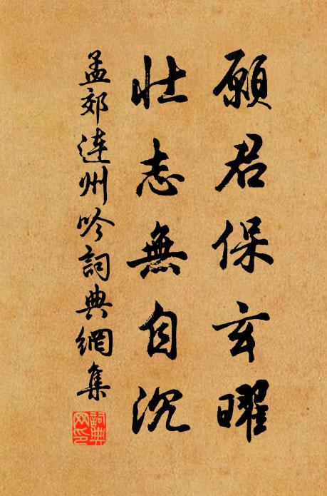孟郊愿君保玄曜,壮志无自沉书法作品欣赏