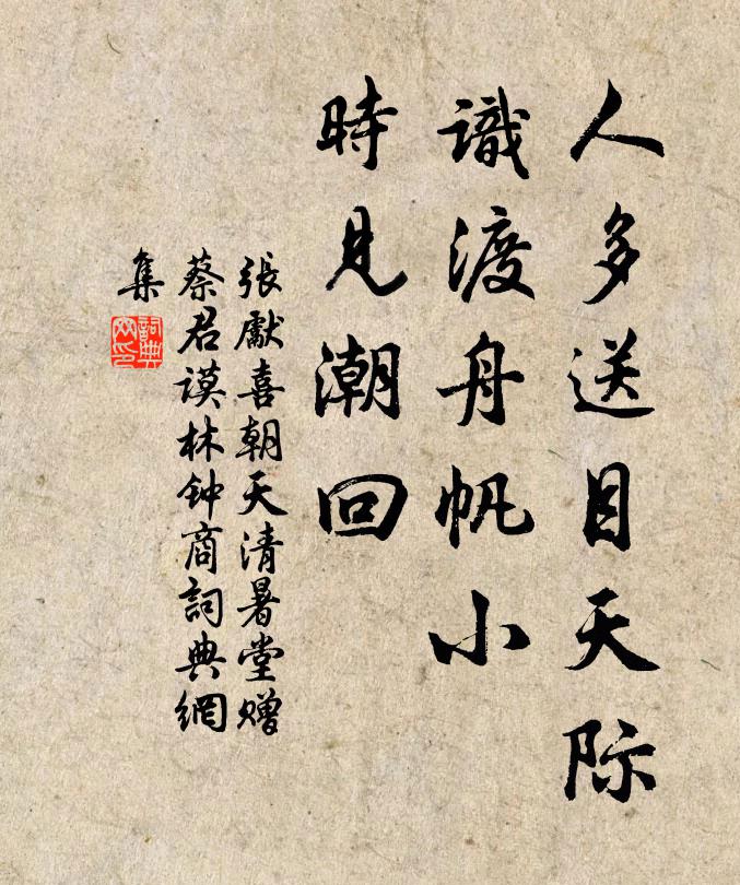 张先人多送目天际，识渡舟帆小，时见潮回书法作品欣赏
