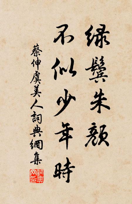蔡伸绿鬓朱颜、不似少年时书法作品欣赏
