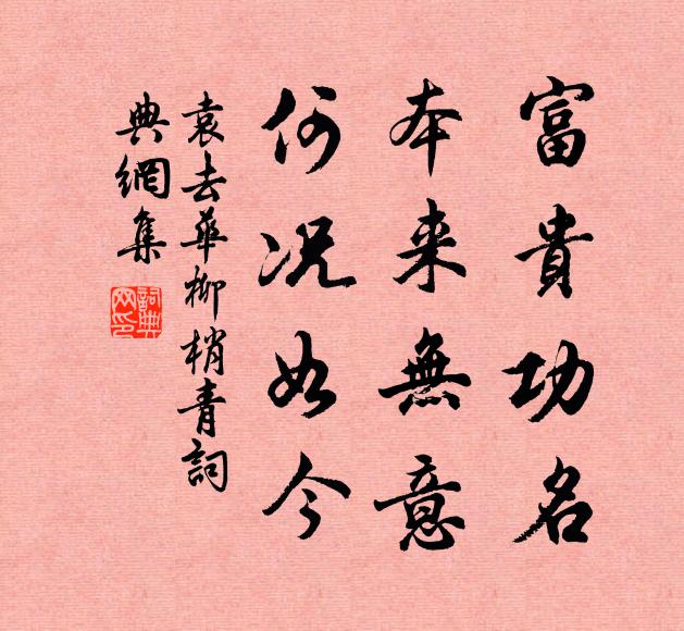 袁去华富贵功名，本来无意，何况如今书法作品欣赏