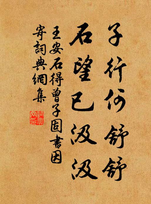 王安石子行何舒舒，石望已汲汲书法作品欣赏