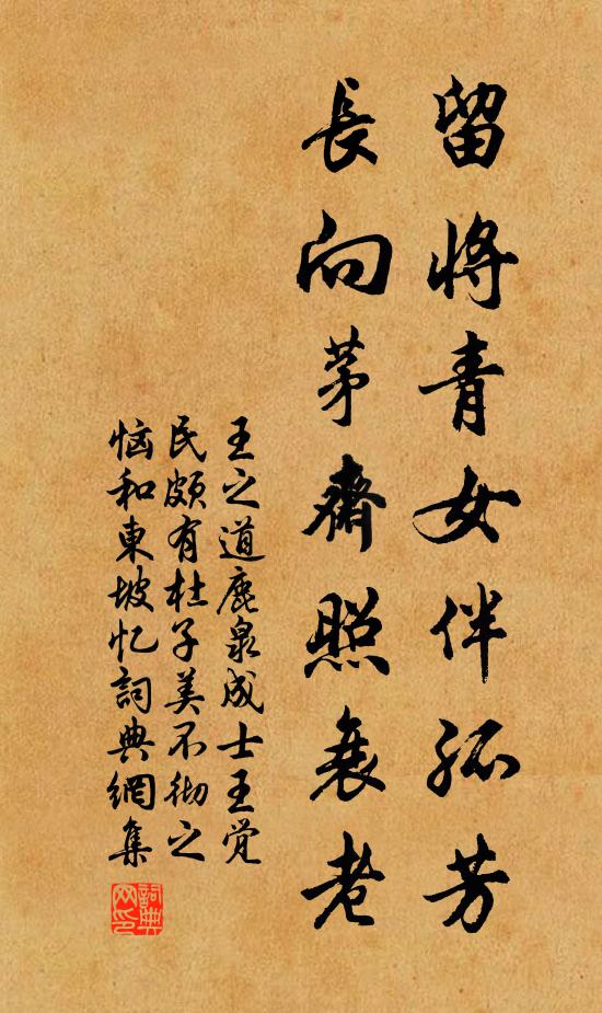 王之道留将青女伴孤芳，长向茅斋照衰老书法作品欣赏