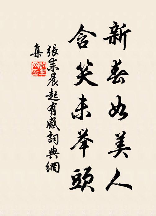 张耒新春如美人，含笑未举头书法作品欣赏