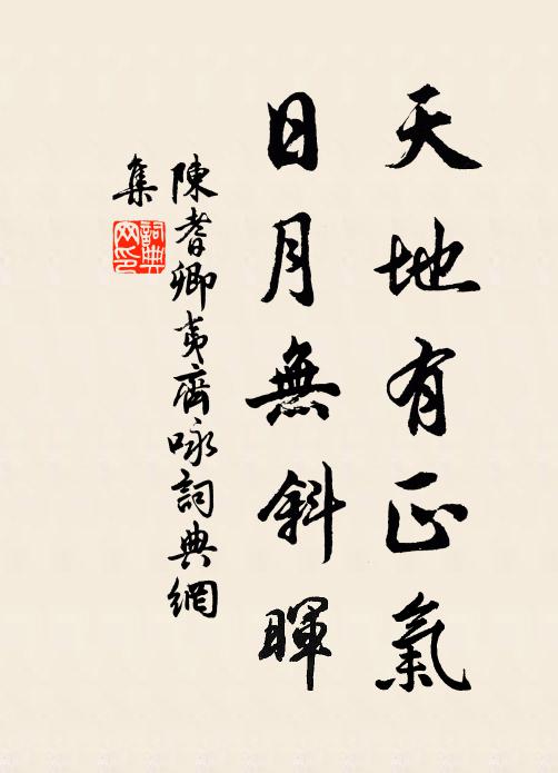 陈耆卿天地有正气，日月无斜晖书法作品欣赏