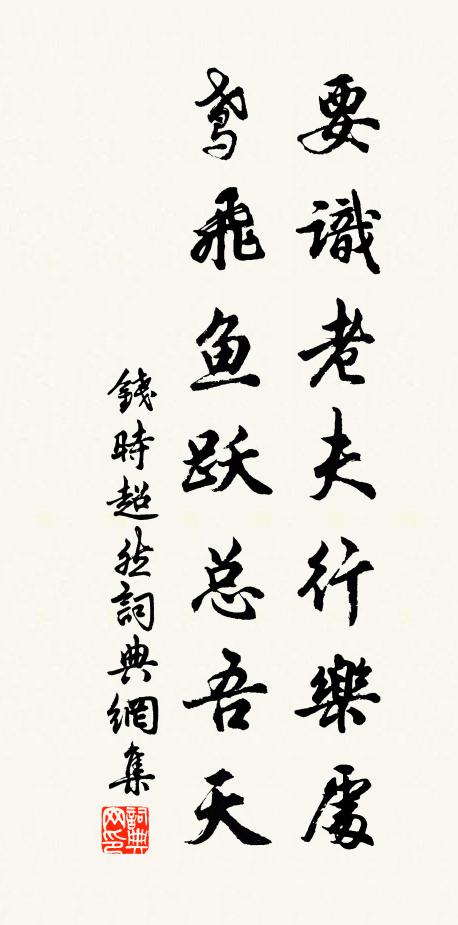 钱时要识老夫行乐处，鸢飞鱼跃总吾天书法作品欣赏