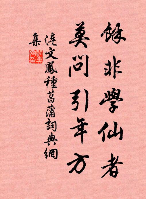连文凤余非学仙者，莫问引年方书法作品欣赏