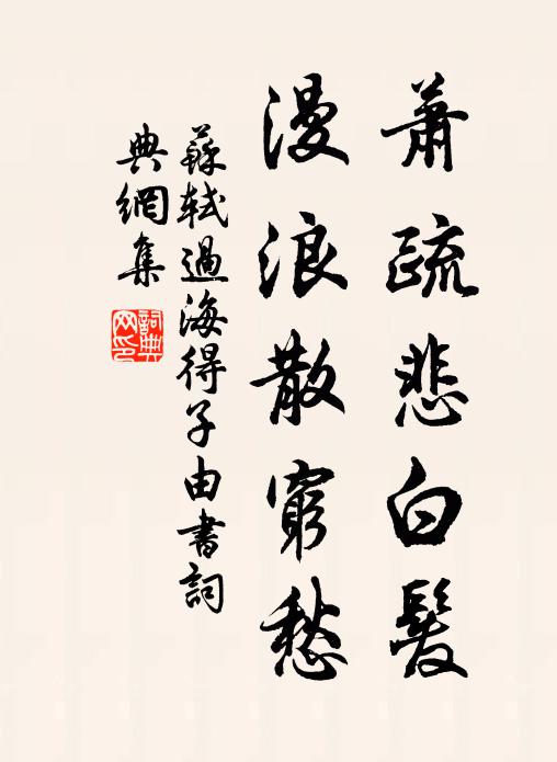 苏轼萧疏悲白发，漫浪散穷愁书法作品欣赏