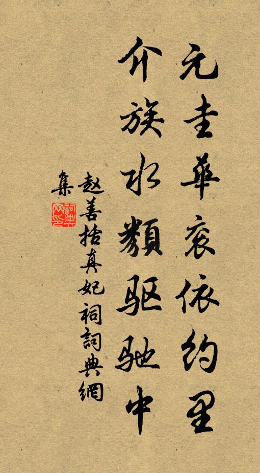 赵善括元圭华衮依约里，介族水类驱驰中书法作品欣赏