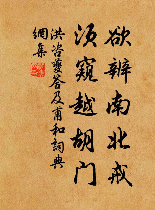 洪咨夔欲辨南北戒,须窥越胡门书法作品欣赏