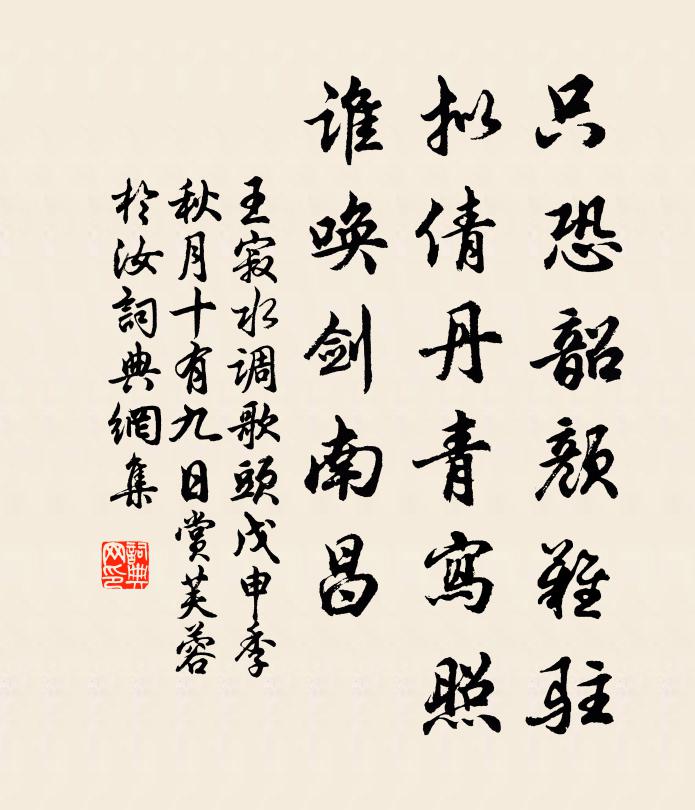 王寂只恐韶颜难驻，拟倩丹青写照，谁唤剑南昌书法作品欣赏