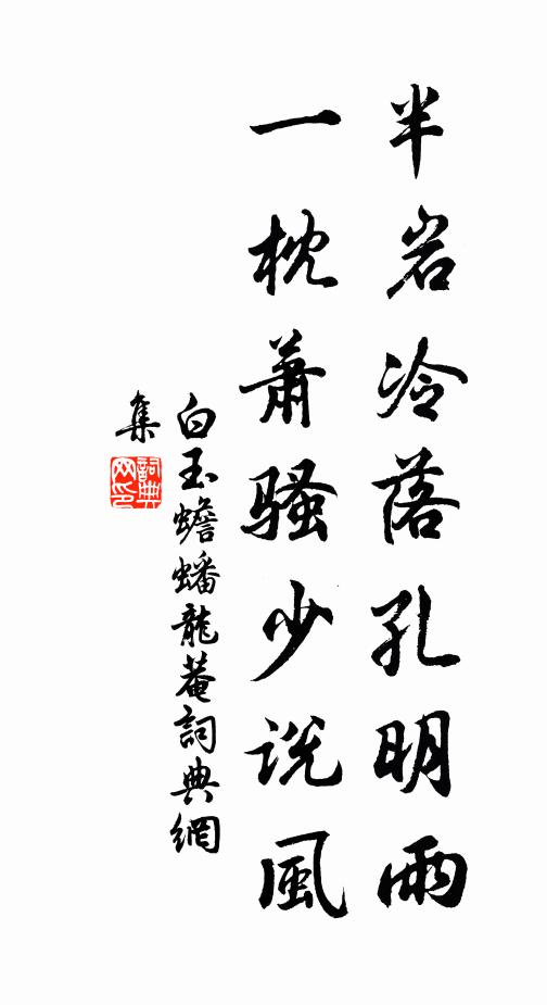 白玉蟾半岩冷落孔明雨，一枕萧骚少说风书法作品欣赏