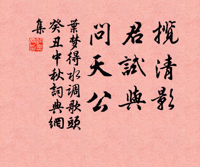 叶梦得揽清影，君试与，问天公书法作品欣赏