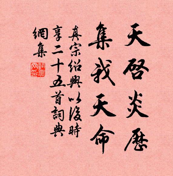 真宗天启炎历，集我天命书法作品欣赏