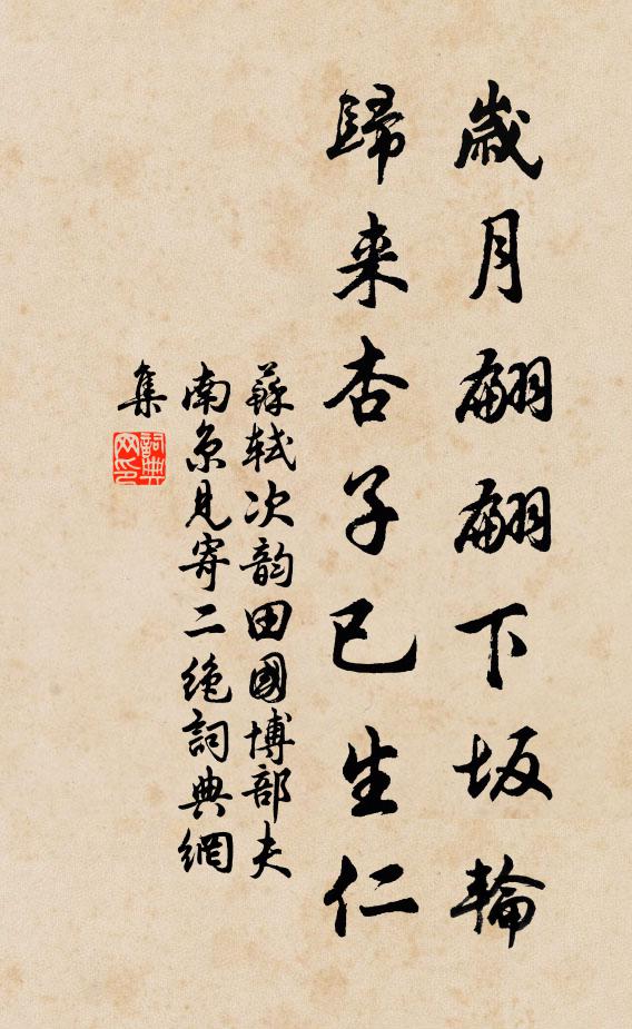 苏轼岁月翩翩下坂轮，归来杏子已生仁书法作品欣赏