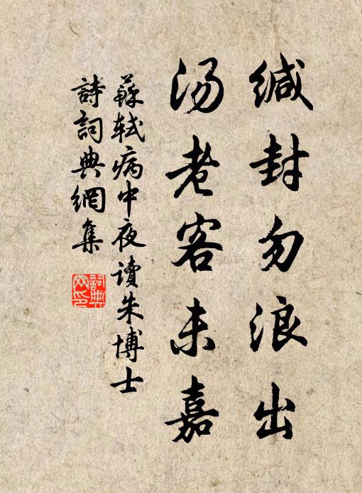 苏轼缄封勿浪出，汤老客未嘉书法作品欣赏