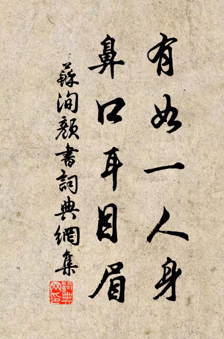 苏洵有如一人身,鼻口耳目眉书法作品欣赏
