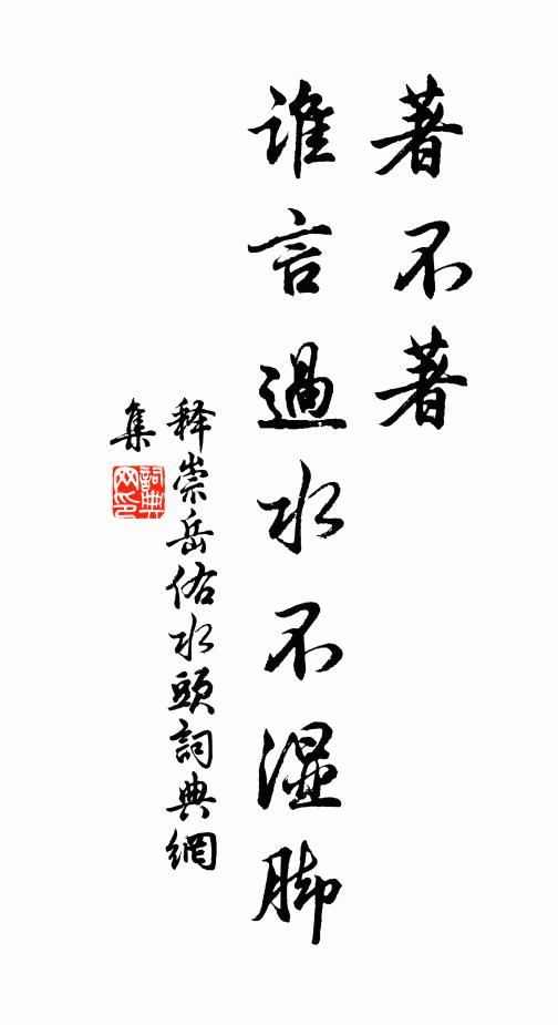 释崇岳著不著，谁言过水不湿脚书法作品欣赏