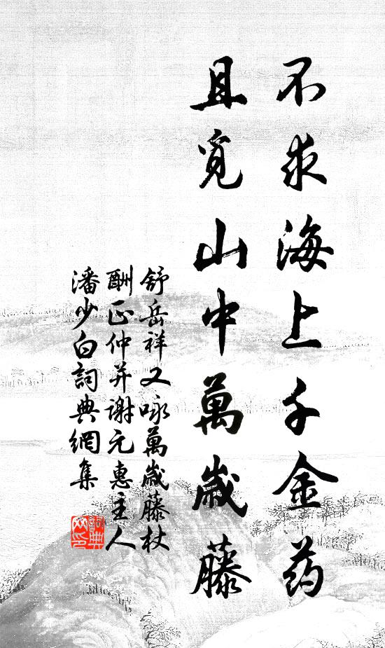 舒岳祥不求海上千金药，且觅山中万岁藤书法作品欣赏