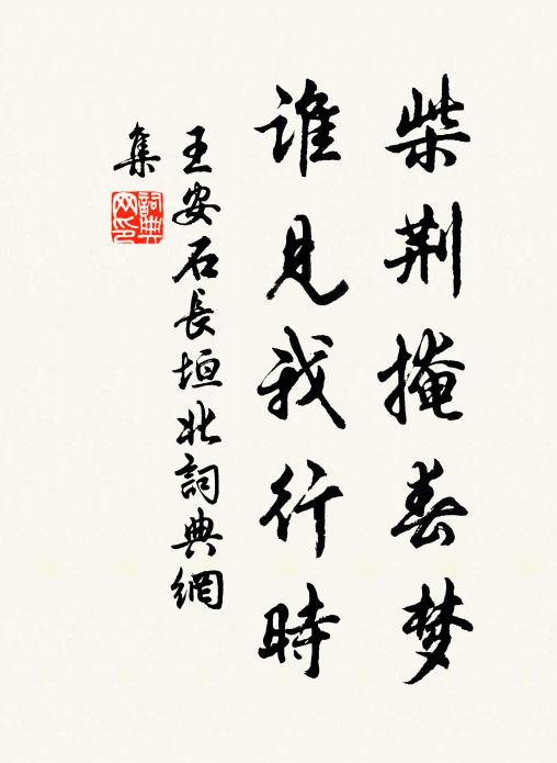 王安石柴荆掩春梦，谁见我行时书法作品欣赏